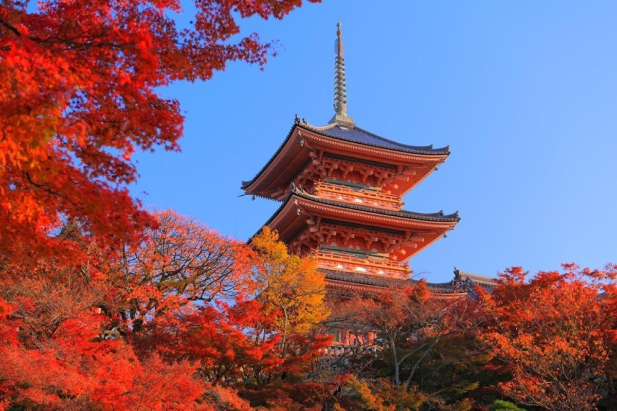 Hotel Tenjin Kyoto Extérieur photo